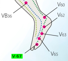 V67